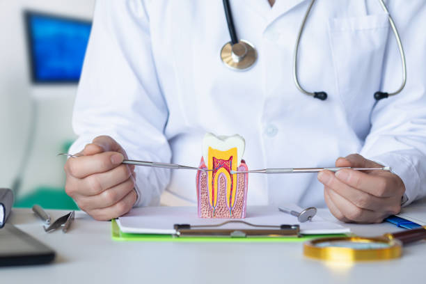 Best Broken or Chipped Tooth Repair in Croydon, PA